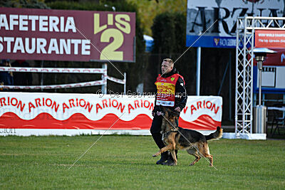 Woodstock vom Haus Pixner