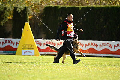 Woodstock vom Haus Pixner