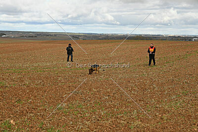 Woodstock vom Haus Pixner