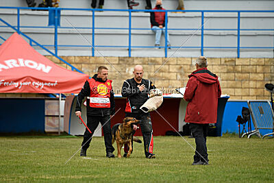 Woodstock vom Haus Pixner