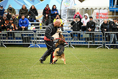 Woodstock vom Haus Pixner