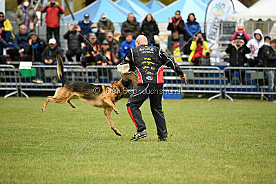 Woodstock vom Haus Pixner