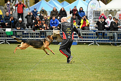 Woodstock vom Haus Pixner