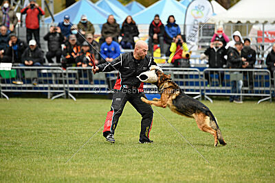 Woodstock vom Haus Pixner