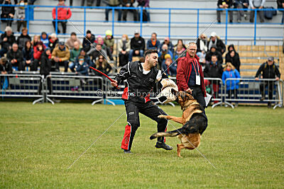 Woodstock vom Haus Pixner