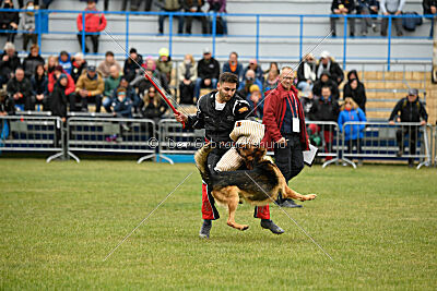 Woodstock vom Haus Pixner