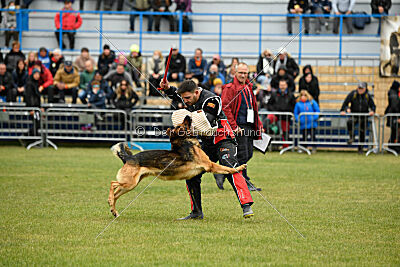 Woodstock vom Haus Pixner