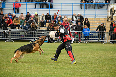 Woodstock vom Haus Pixner