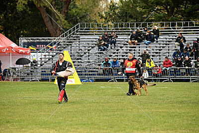 Woodstock vom Haus Pixner