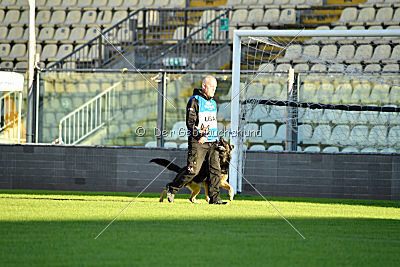 Woody van het Zuidpark