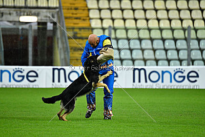 Woody van het Zuidpark