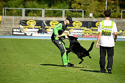 Wotan von Schloss Berge