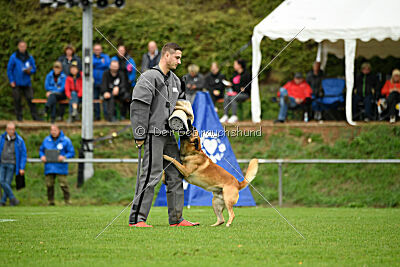 Wox de L'origine de Faucon Rouge