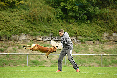 Wox de L'origine de Faucon Rouge