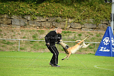 Wox de L'origine de Faucon Rouge