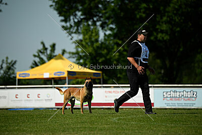Wox de l'origine de faucon rouge