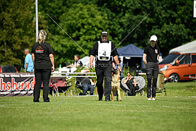 Wox de l'origine de faucon rouge