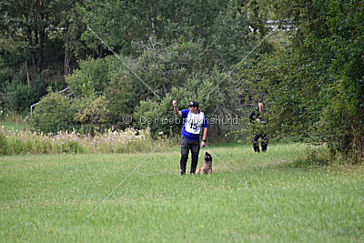 Wox de l'origine de faucon rouge