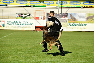 X-Mann von der Bildsäule