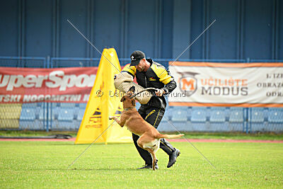 X'Yoda vom Further Moor