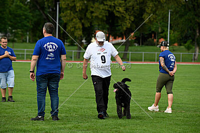 Xan Cutcho du Grand Bijou