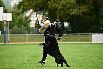 Xan Cutcho du Grand Bijou