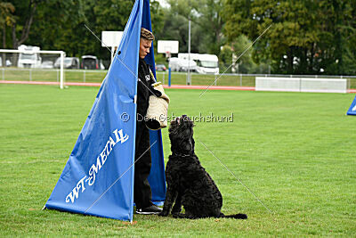 Xan Cutcho du Grand Bijou