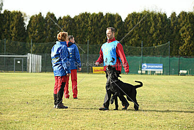 Xara con todos los santos