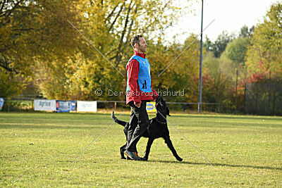 Xara con todos los santos