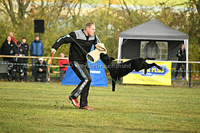 Xara con todos los santos