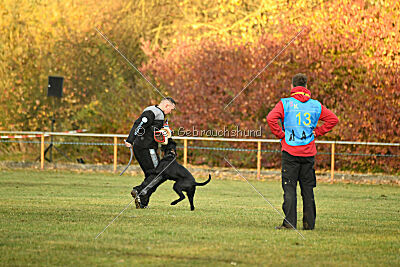 Xara con todos los santos