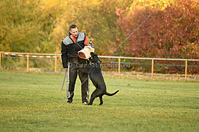 Xara con todos los santos