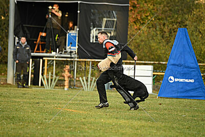 Xara con todos los santos