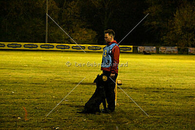 Xara con todos los santos