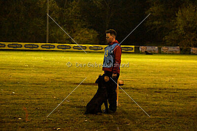 Xara con todos los santos