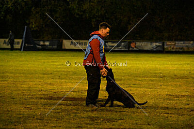 Xara con todos los santos