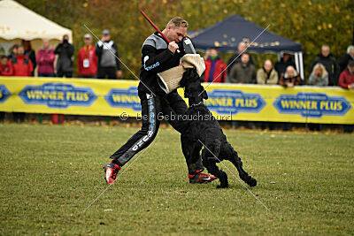 Xara con todos los santos