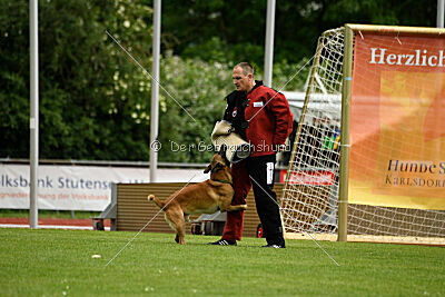 Xarey vom Further Moor