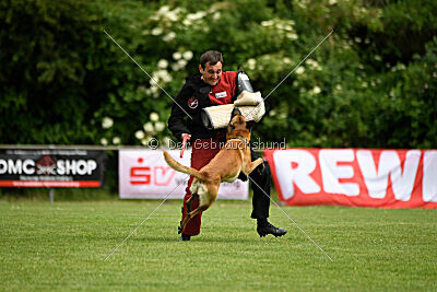 Xarey vom Further Moor