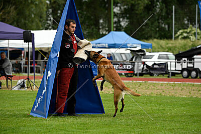 Xarey vom Further Moor