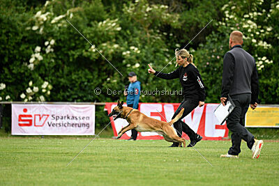 Xarey vom Further Moor