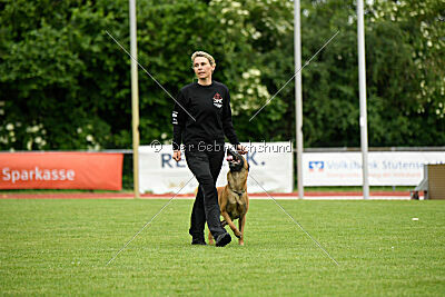 Xarey vom Further Moor