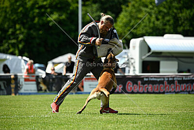 Xarey vom Further Moor