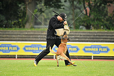 Xarey vom Further Moor