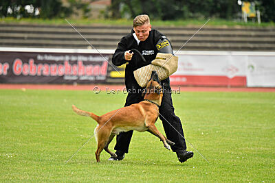 Xarey vom Further Moor