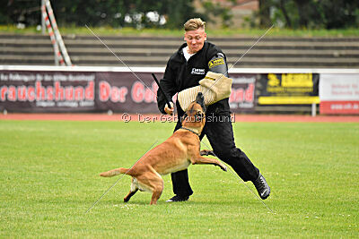 Xarey vom Further Moor