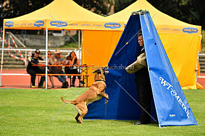 Xarey vom Further Moor