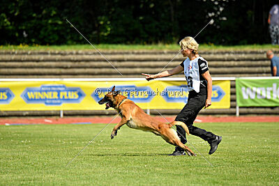 Xarey vom Further Moor