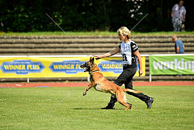 Xarey vom Further Moor