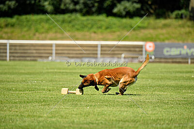 Xarey vom Further Moor